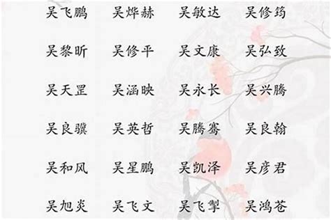 姓吳的名字|姓吴男孩名字大全